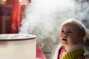 Albuquerque Humidifier Installation